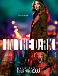 In the Dark (2019) French Stream